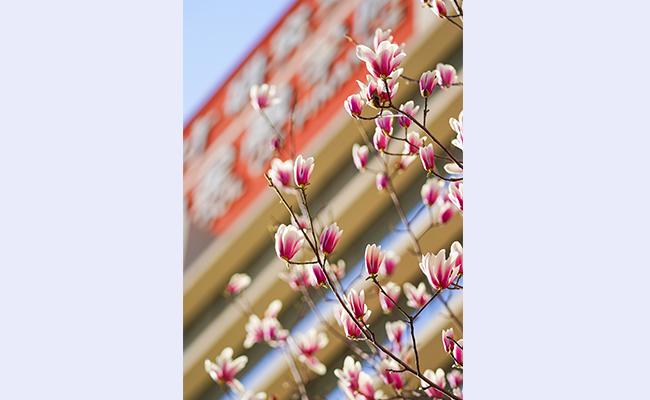 空白背景1new  - 副本.jpg